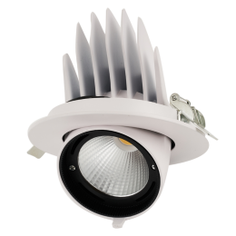 Светильник светодиодный PLED DL4 WH Downlight 40Вт 4000К IP40 24град. ДВО встраиваемый поворотн. JazzWay 5021921